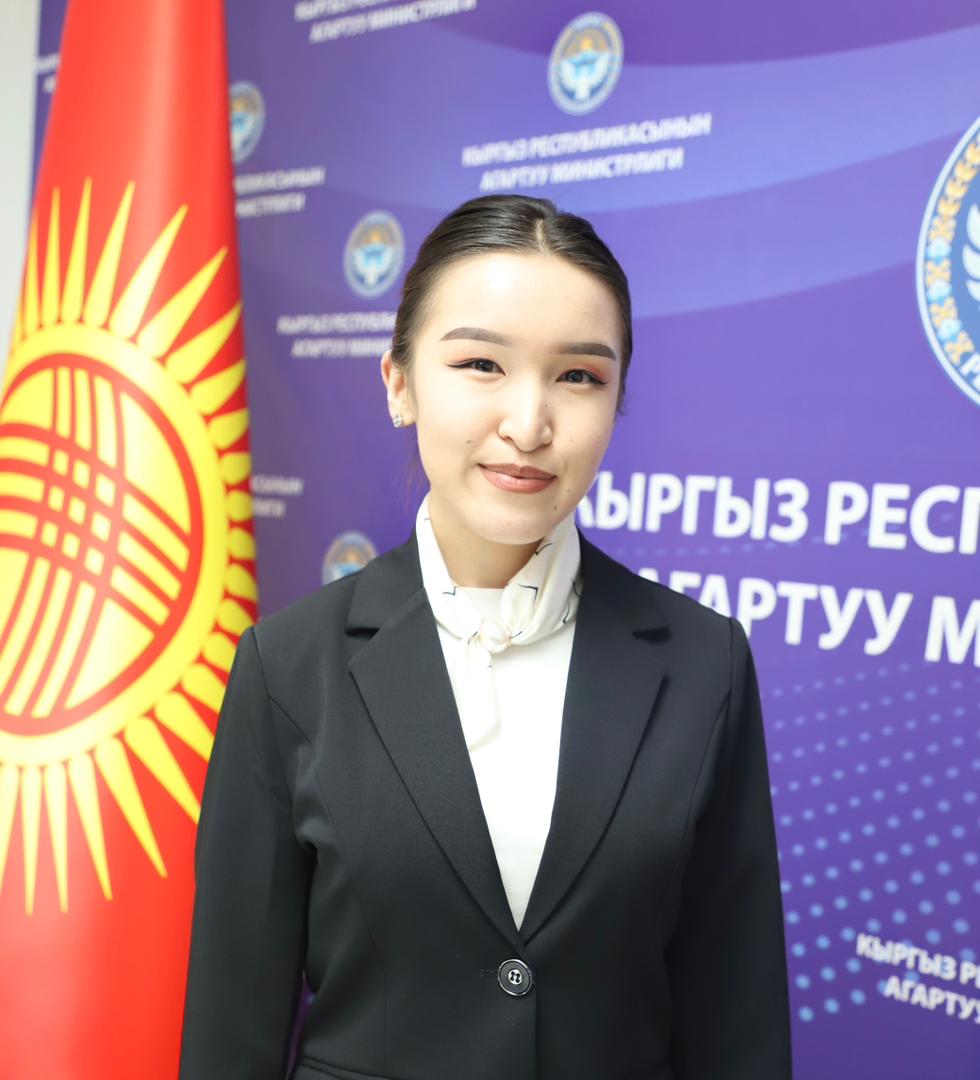 Сүрөт табылган жок