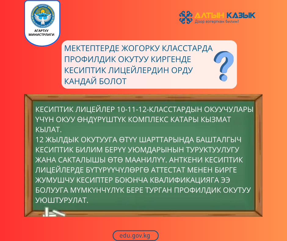 Мектептерде жогорку класстарда профилдик окутуу киргенде кесиптик лицейлердин орду кандай болот